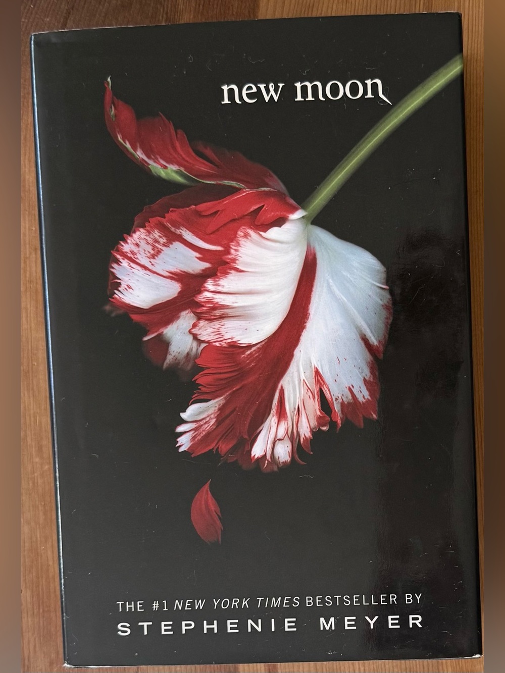 Hardback, First Edition, New Moon by Stephanie Meyers